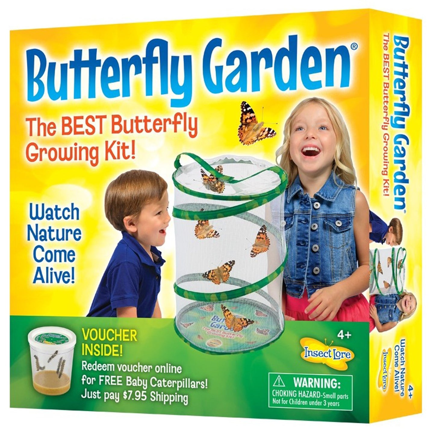 Butterfly Garden