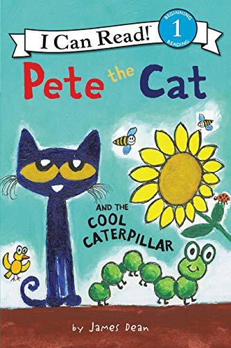 Book: Pete the Cat