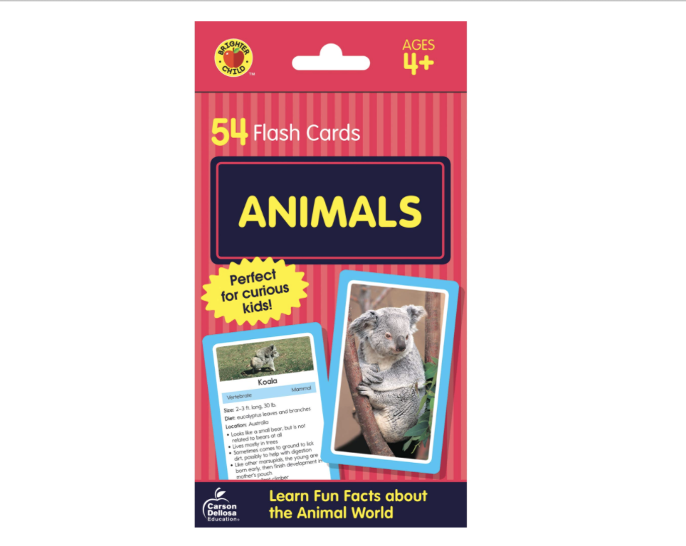 Animal Flash Cards